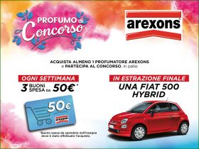 Vinic una Fiat 500 con Arexons