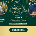 Concorso di Natale Ponti